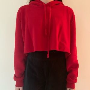 Brandy Melville Cropped Hoodie